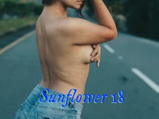 Sunflower_18