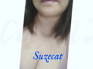 Suzecat