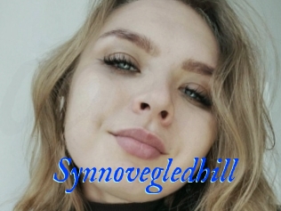 Synnovegledhill