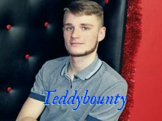 Teddybounty