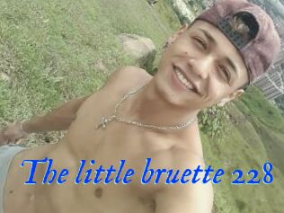 The_little_bruette_228