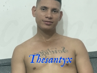 Thesantyx