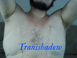 Transshadow