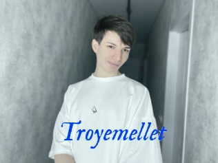 Troyemellet