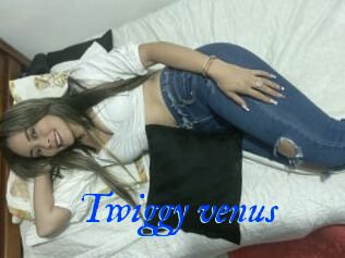 Twiggy_venus