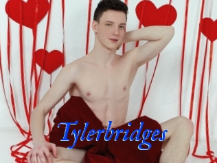 Tylerbridges