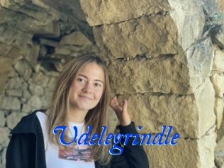 Udelegrindle