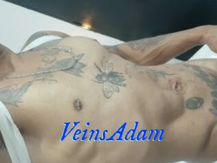 VeinsAdam