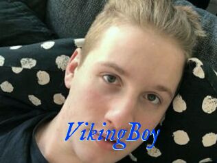 VikingBoy