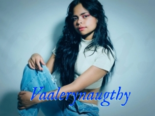 Vaalerynaugthy