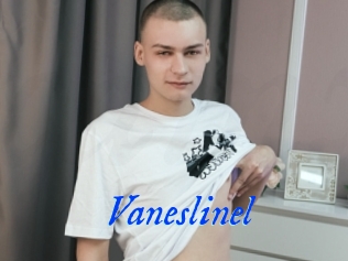 Vaneslinel