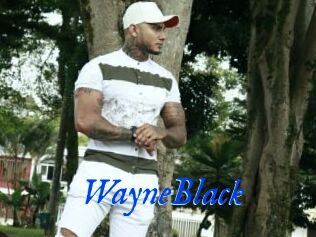 WayneBlack