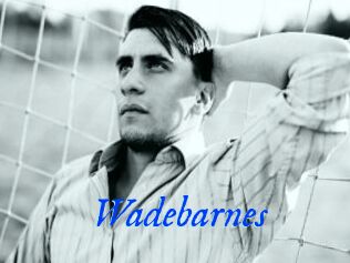 Wadebarnes