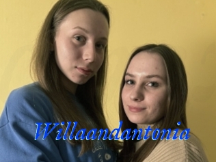 Willaandantonia