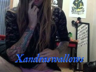 Xandraswallows