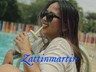 Zattinmartin