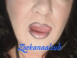 Zoekanaalsub